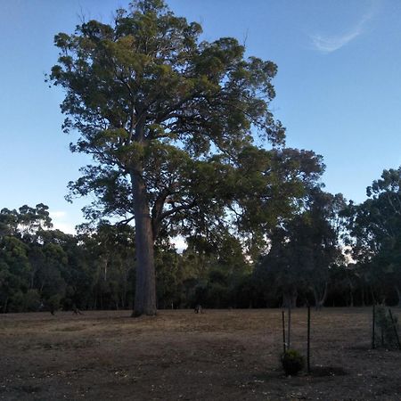 Margaret House Apartment Margaret River ภายนอก รูปภาพ